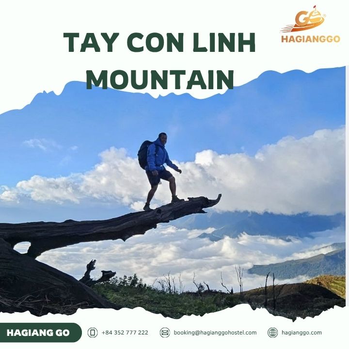 Tay Con Linh Mountain Ha Giang: Complete Guide to Vietnam's Majestic Sky Gate